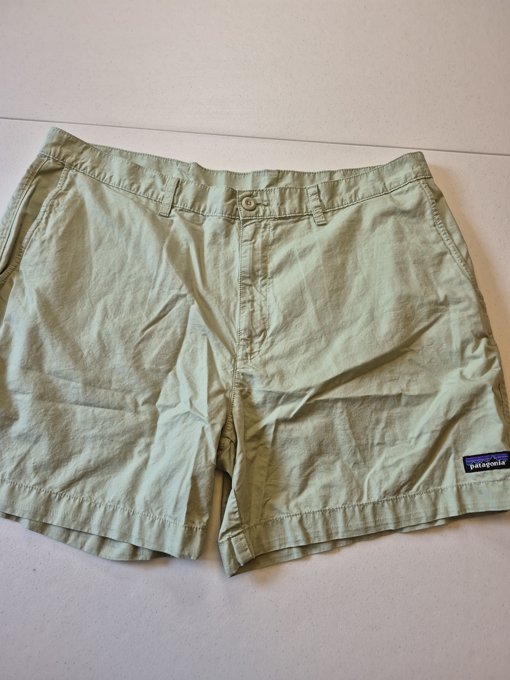 Patagonia Men's Light Green Casual Shorts